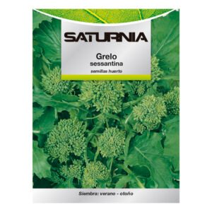 Semillas Grelo Brocoli (10 gramos) Semillas Verduras, Horticultura, Horticola, Semillas Huerto.