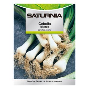 Semillas Cebolla Blanca (4 gramos) Semillas Verduras, Horticultura, Horticola, Semillas Huerto.