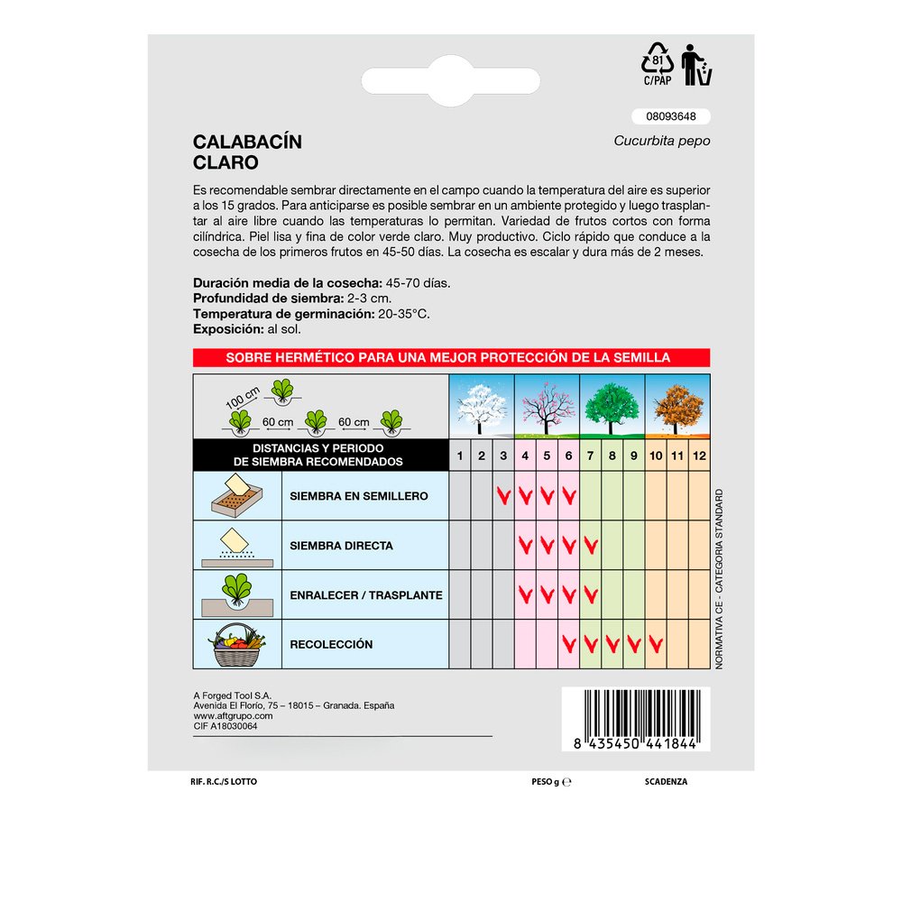 Semillas Calabacin Verde Oscuro (5 gramos) Semillas Verduras, Horticultura, Horticola, Semillas Huerto. - Imagen 2